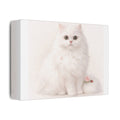 Persian Cat Canvas Wall Art – Satin Finish Stretched Canvas | Elegant Cat Lover Decor