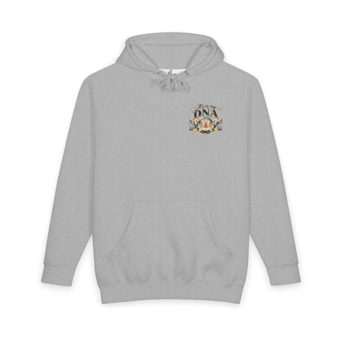 Back view of a gray heavyweight Christian hoodie featuring large It's in My DNA lettering in metallic-look gold and blue, intertwined DNA strands, an open Bible, praying hands, angel wings, and radiant golden light.