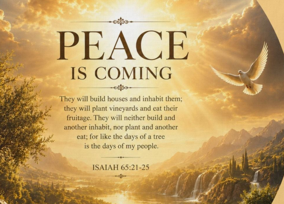 Christian cotton bedding set featuring a white dove flying over golden hills at sunrise with the words "Peace Is Coming" on a faith-inspired duvet cover and matching pillow sham.